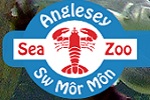 Anglesey