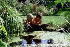 pond